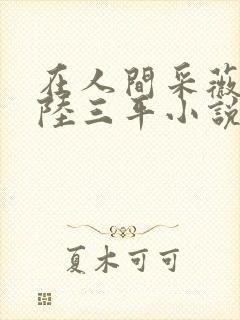 在人间采薇阿铭陆三平小说免费阅读