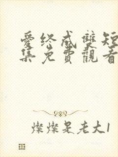 爱终成双短剧全集免费观看