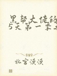 黑帮大佬的365天第一季无删减