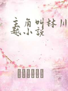 主角叫林川的穿越小说