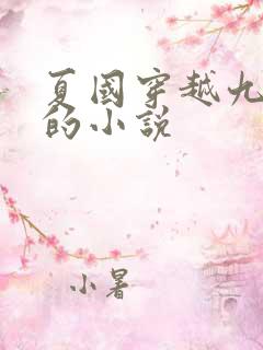 夏国穿越九皇子的小说