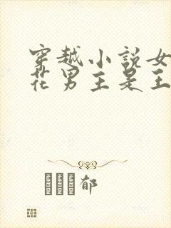 穿越小说女主桃花男主是王爷