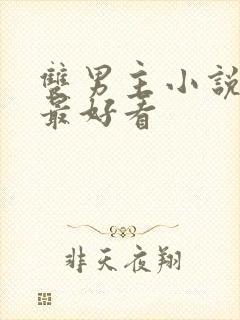 双男主小说哪本最好看