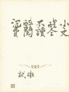 沉醉不醒小说免费阅读全文无弹窗