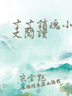 寸寸销魂小说全文阅读