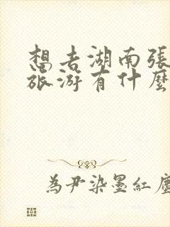 想去湖南张家界旅游有什么必去的经典景点