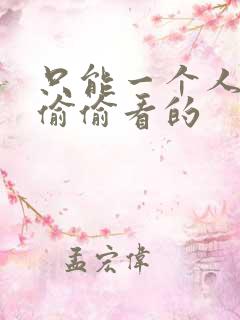 只能一个人晚上偷偷看的