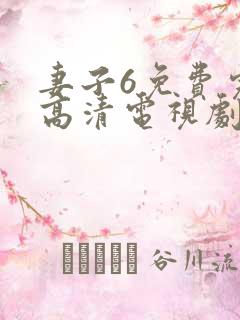 妻子6免费完整高清电视剧在线看中文网站