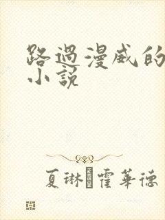 路过漫威的骑士小说