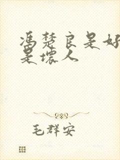 冯楚良是好人还是坏人