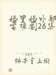 婚里婚外那些事电视剧26集免费观看