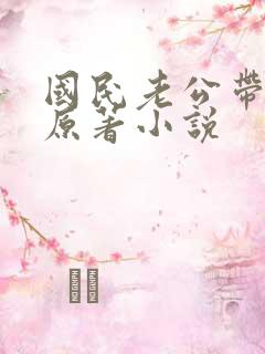 国民老公带回家原著小说