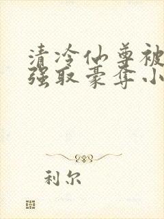清冷仙尊被魔尊强取豪夺小说