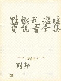 点燃我温暖你免费观看全集完整版