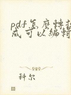 pdf怎么转换成可以编辑的word文档