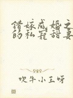 错嫁成婚之总裁的私宠甜妻全文免费