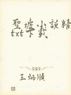 圣墟小说精校版txt下载