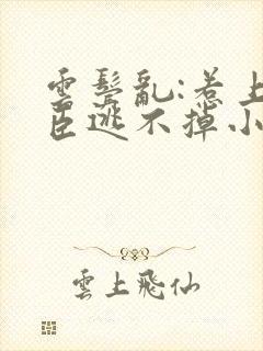 云鬓乱:惹上奸臣逃不掉小说阅读全部