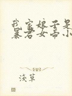 我家娘子是未来暴君女帝小说