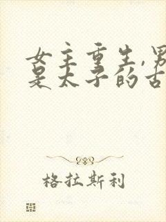 女主重生,男主是太子的古代小说