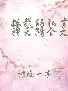 总裁的私有宝贝穆天阳全文免费