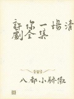 许你一场清欢短剧全集