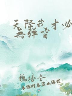 天降我才必有用 无弹窗