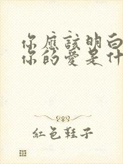 你应该明白我对你的爱是什么歌