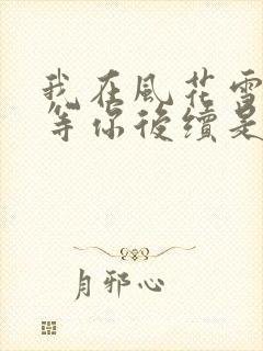 我在风花雪月里等你后续是哪本书