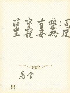 萌宝有双:司先生宠妻无度