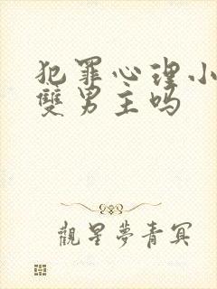 犯罪心理小说是双男主吗