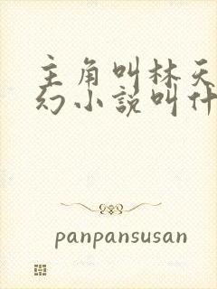 主角叫林天的玄幻小说叫什么名字