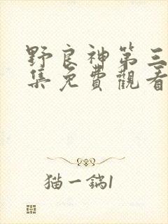 野良神第三季全集免费观看