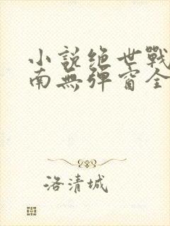 小说绝世战魂秦南无弹窗全文免费阅读