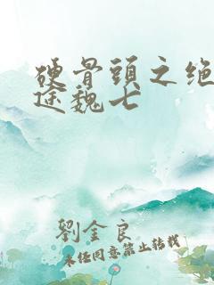 硬骨头之绝地归途魏七