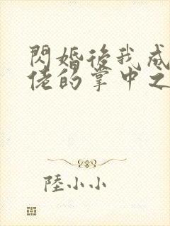 闪婚后我成了大佬的掌中之物32