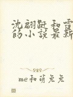 沈翩跹和霍临钺的小说最新章节