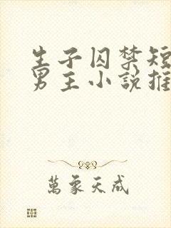 生子囚禁短篇双男主小说推荐