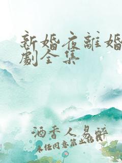 新婚夜离婚时短剧全集