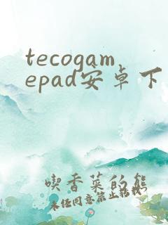 tecogamepad安卓下载