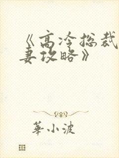 《高冷总裁的追妻攻略》