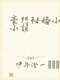 豪门秘婚小新娘小说