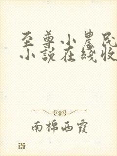 至尊小农民有声小说在线收听