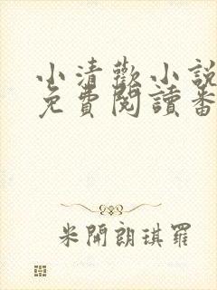 小清欢小说全文免费阅读番外