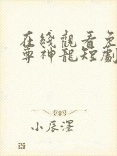 在线观看免费至尊神龙短剧