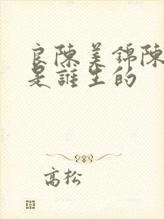 良陈美锦陈玄青是谁生的