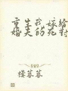 重生我嫁给了未婚夫的死对头