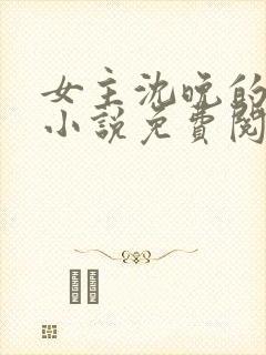 女主沈晚的重生小说免费阅读