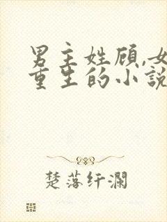 男主姓顾,女主重生的小说