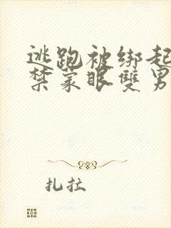 逃跑被绑起来囚禁蒙眼双男主小说